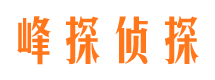 辰溪市私家侦探